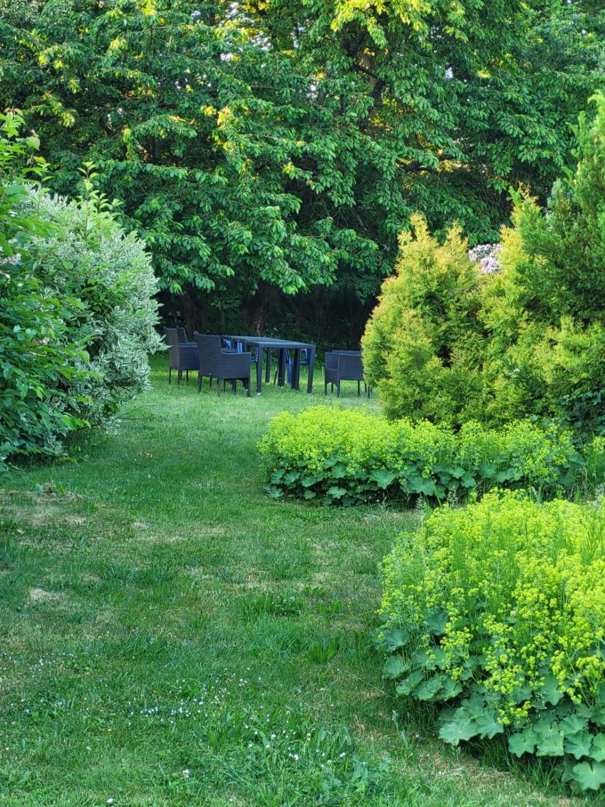 D&B Staycation Ferienpark Niedenstein Zewnętrze zdjęcie
